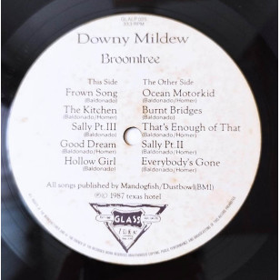 Downy Mildew ‎- Broomtree 1987 UK Vinyl LP ***READY TO SHIP from Hong Kong***
